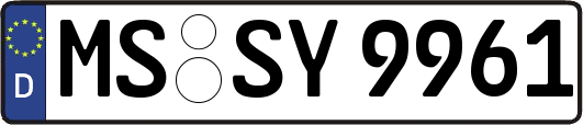 MS-SY9961