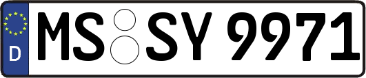 MS-SY9971