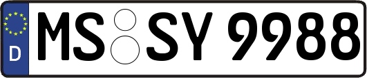 MS-SY9988