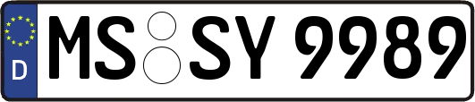 MS-SY9989