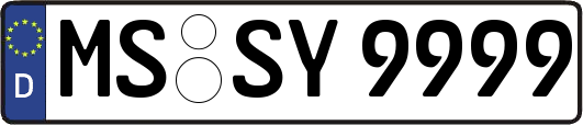 MS-SY9999