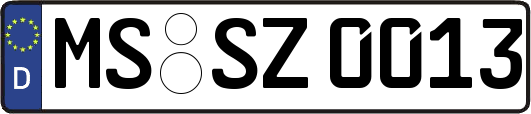 MS-SZ0013