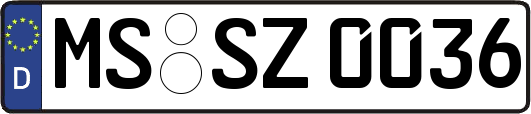 MS-SZ0036