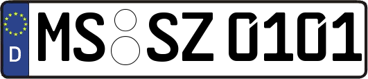 MS-SZ0101