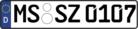 MS-SZ0107