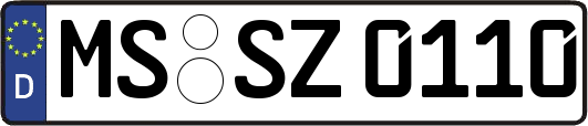 MS-SZ0110