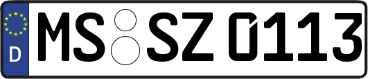 MS-SZ0113