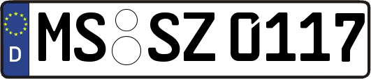 MS-SZ0117