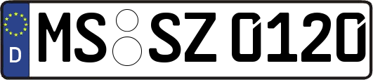 MS-SZ0120