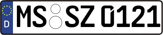 MS-SZ0121