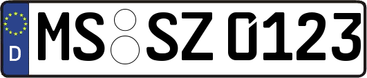 MS-SZ0123