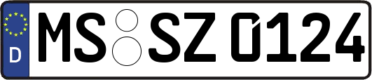 MS-SZ0124