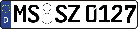 MS-SZ0127