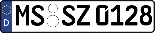 MS-SZ0128