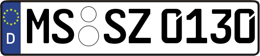 MS-SZ0130