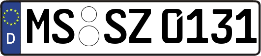 MS-SZ0131