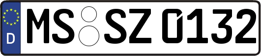 MS-SZ0132