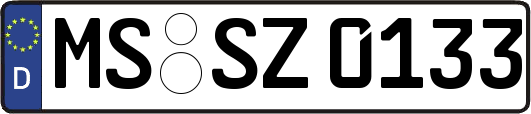MS-SZ0133