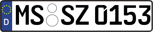 MS-SZ0153