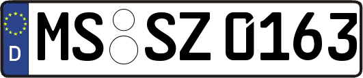 MS-SZ0163