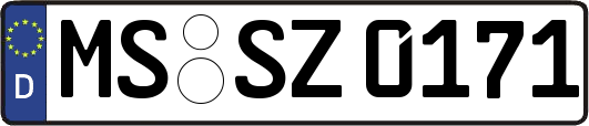MS-SZ0171