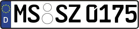 MS-SZ0175