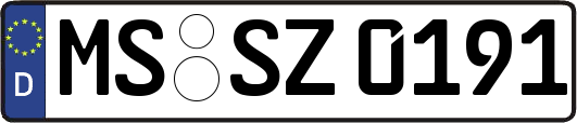 MS-SZ0191