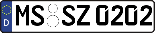 MS-SZ0202