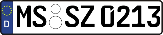 MS-SZ0213