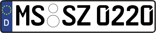 MS-SZ0220