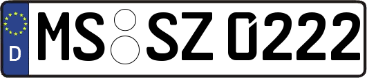 MS-SZ0222