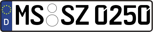 MS-SZ0250
