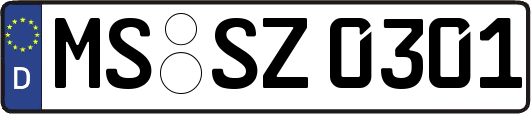 MS-SZ0301