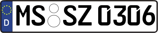 MS-SZ0306
