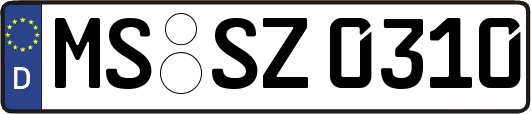 MS-SZ0310