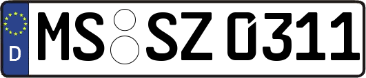 MS-SZ0311