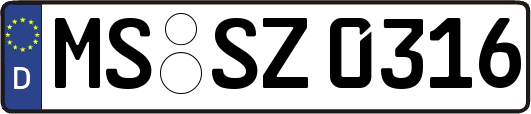 MS-SZ0316