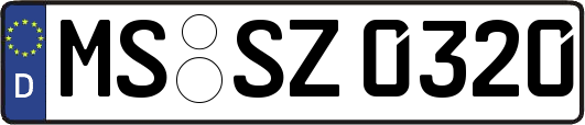 MS-SZ0320