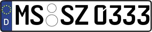 MS-SZ0333