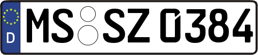 MS-SZ0384