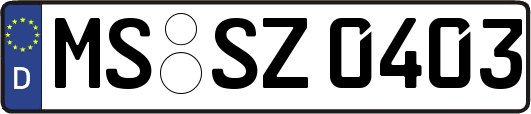 MS-SZ0403