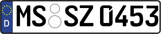 MS-SZ0453