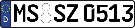 MS-SZ0513