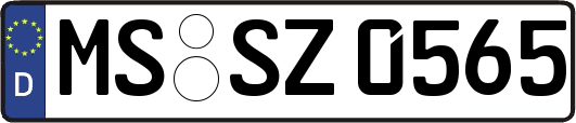 MS-SZ0565