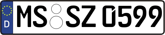 MS-SZ0599