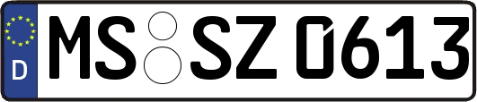 MS-SZ0613