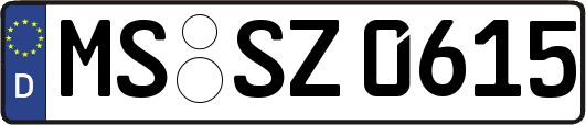 MS-SZ0615