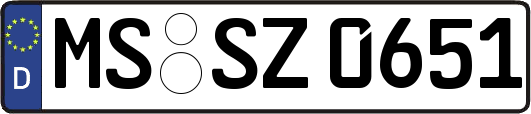 MS-SZ0651