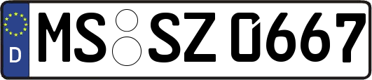 MS-SZ0667