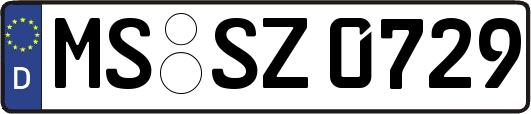 MS-SZ0729